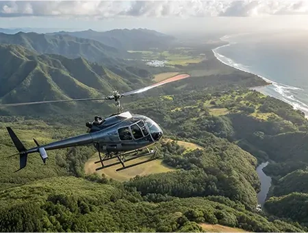 Helicopter Tour