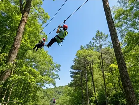 Zipline Experience