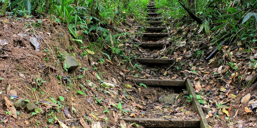 Educational Adventure